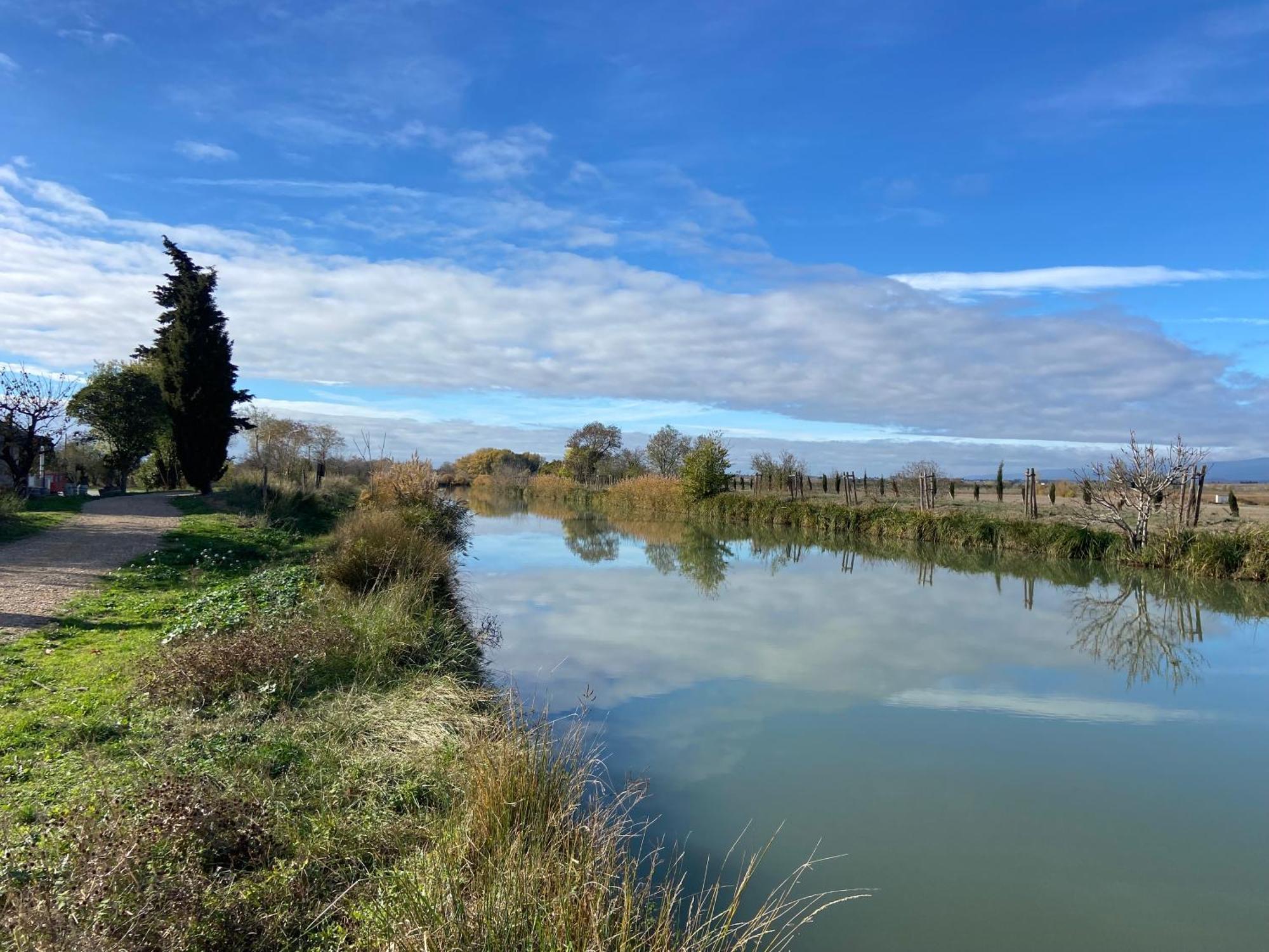 Maison, Canal Du Midi Piscine Homps  Zewnętrze zdjęcie